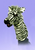 Zebra poppenkastpop Zebra poppenkastpop