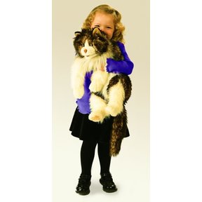 Lapjes kat handpop