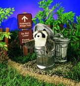 Wasbeer in vuilnisbak handpop Wasbeer in vuilnisbak handpop