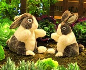 Hollands konijn handpop