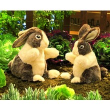 Baby Hollands konijn handpop