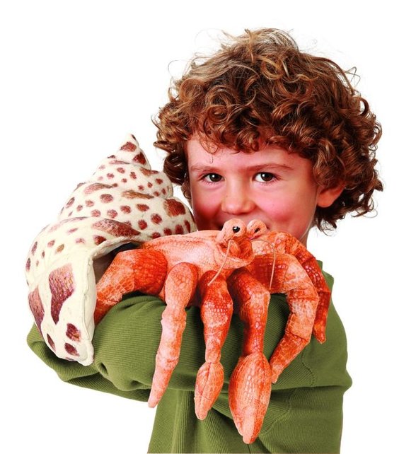 Heremietkreeft Heremietkreeft
