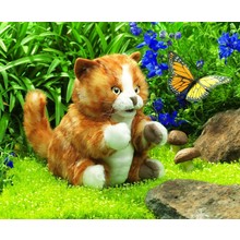 Oranje gestreepte kat