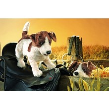 Handpop Jack Russel hond