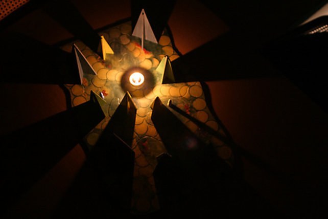 Bosschaduwspel Waltschattenspiel