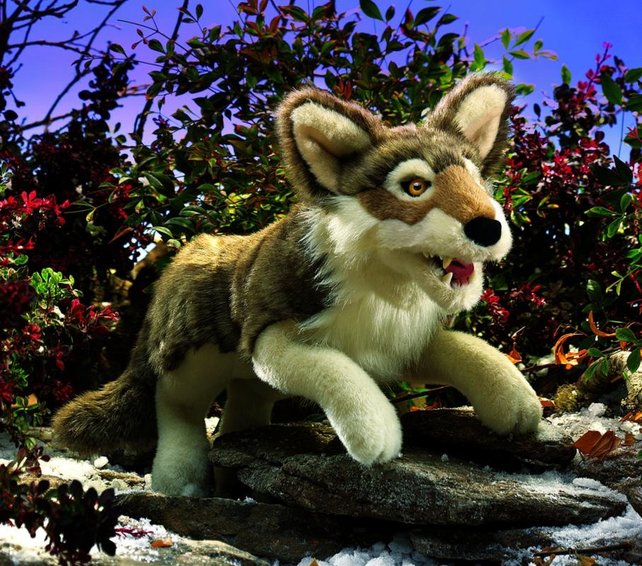 Grijze wolf / jakhals handpop