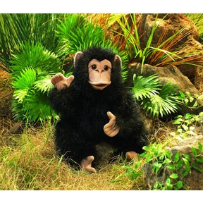 Baby Chimpansee handpop