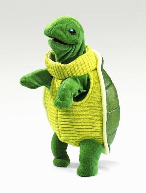 Schildpad met coltrui