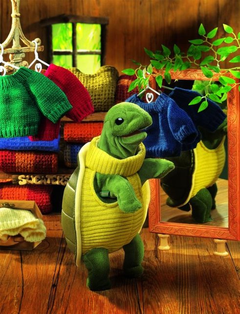 Schildpad met coltrui