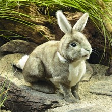 Katoenstaart konijn handpop