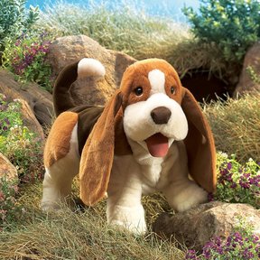 Basset hond