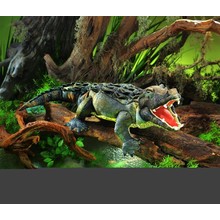 Amerikaanse Alligator