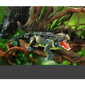 Amerikaanse Alligator