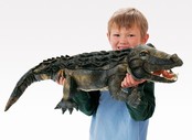 Amerikaanse Alligator Amerikaanse Alligator
