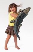 Amerikaanse Alligator Amerikaanse Alligator