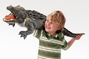 Amerikaanse Alligator Amerikaanse Alligator