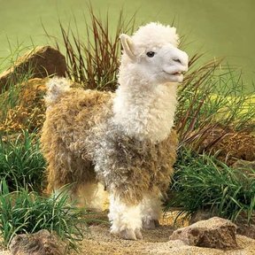 Alpaca handpop