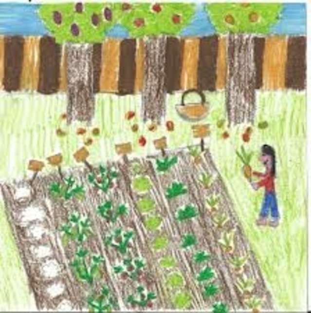 Mijn tuin - Meditaties voor kinderen Mijn tuin - Meditaties voor kinderen