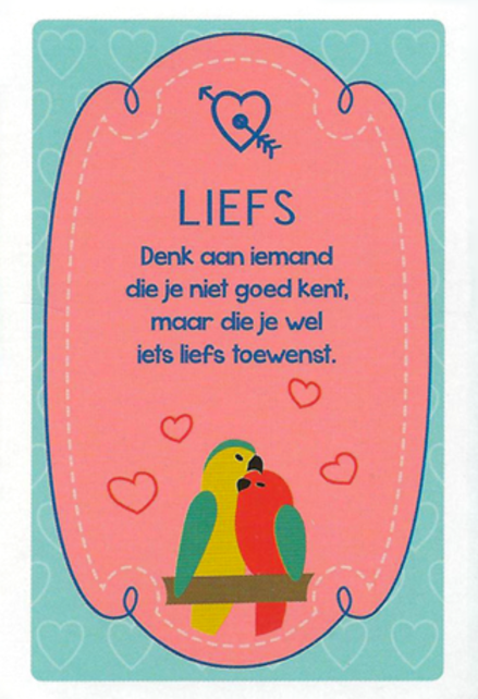 Schatgravers kaartspel Schatgravers kaartspel