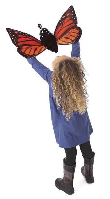 Monarch vlinder levenscyclus handpop