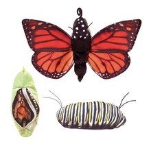 Folkmanis handpop vlinder levenscyclus