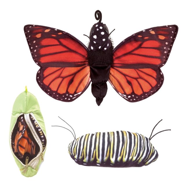 Monarch vlinder levenscyclus handpop