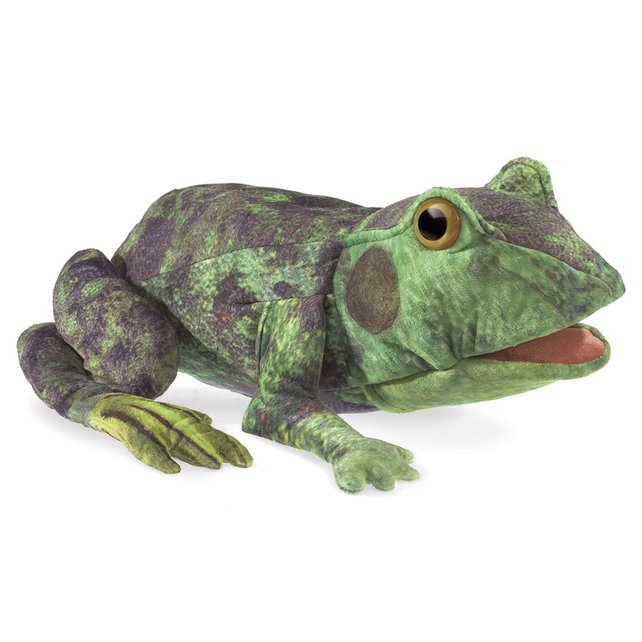 Folkmanis handpop kikker levenscyclus