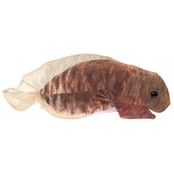 Folkmanis handpop kikker levenscyclus