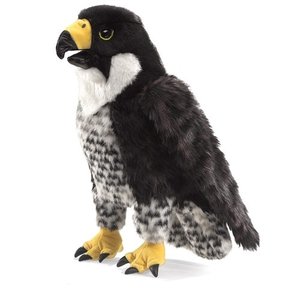 Slechtvalk handpop