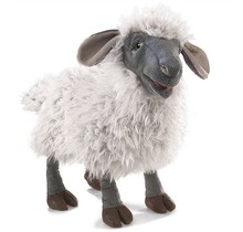 Schaap handpop