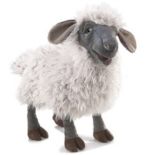 Schaap handpop