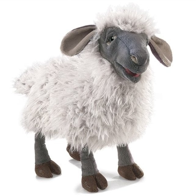 Schaap handpop