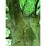 Earth Games Workshop Sharing Nature natuurbeleving zondag 19-11-23