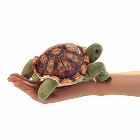 Landschildpad vingerpopje