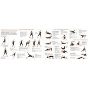 Balansplank 'Das Brett' Balansplank 'Das Brett'