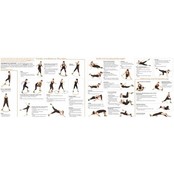 Balansplank 'Das Brett' Balansplank 'Das Brett'