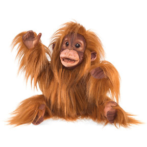 Orang-oetan