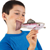 Vingerpopje Regenboogforel