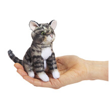 Vingerpopje Tabby Kat