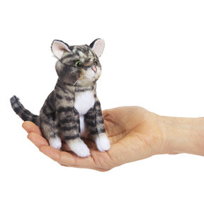 Vingerpopje Tabby Kat