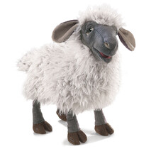 Schaap Handpop