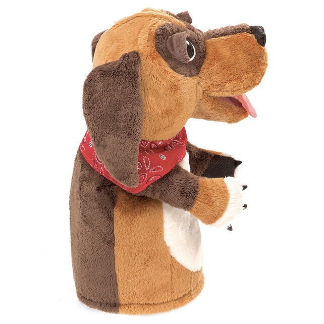 Hondenpop voor het podium