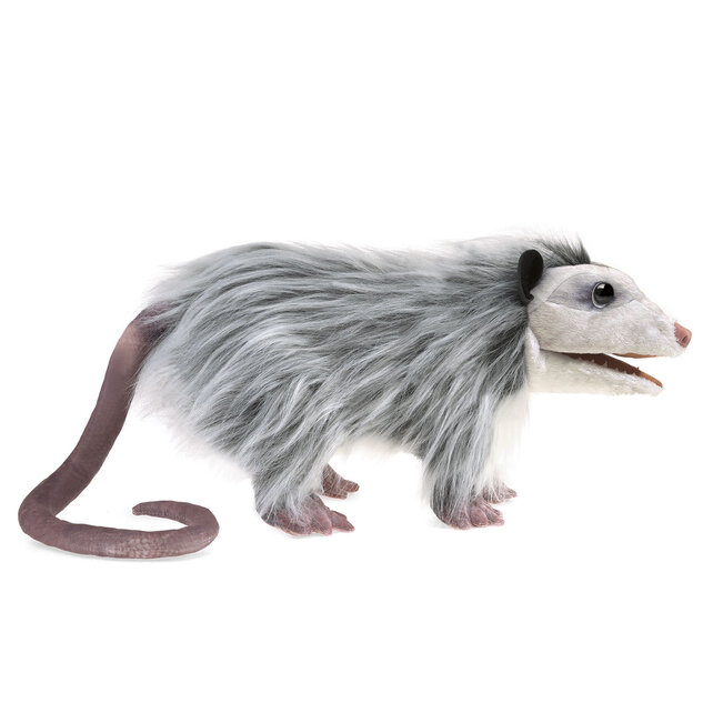 Opossum