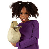 Dinosaurusei Dinosaurusei