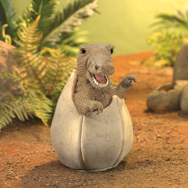 Dinosaurusei Dinosaurusei