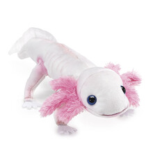 Axolotl