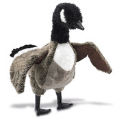 Canadese gans Canadese gans