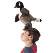 Canadese gans Canadese gans