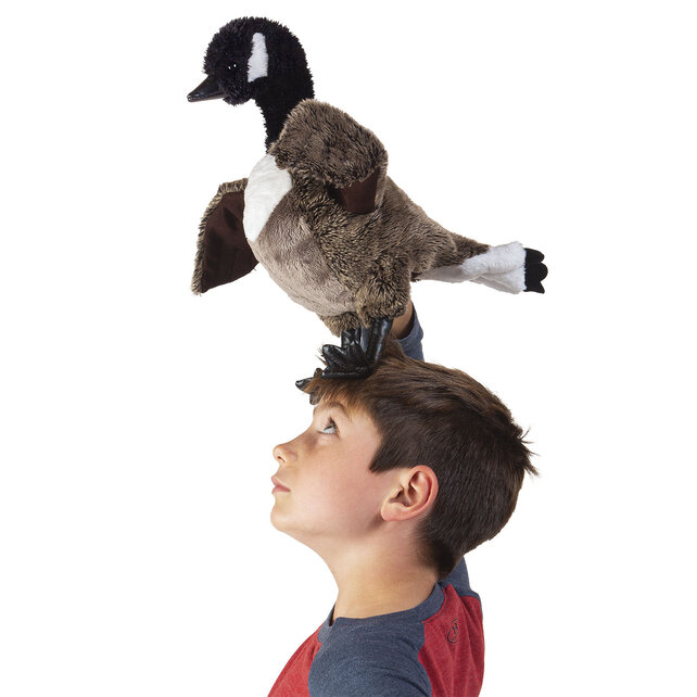 Canadese gans Canadese gans