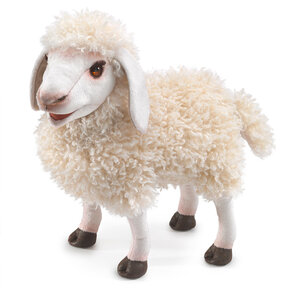 Wollig Schaap
